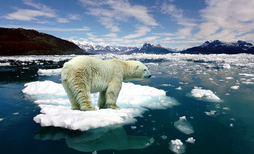 Küresel ısınma, küresel düşünceler… | BES / HAYAT | Sigorta Medya